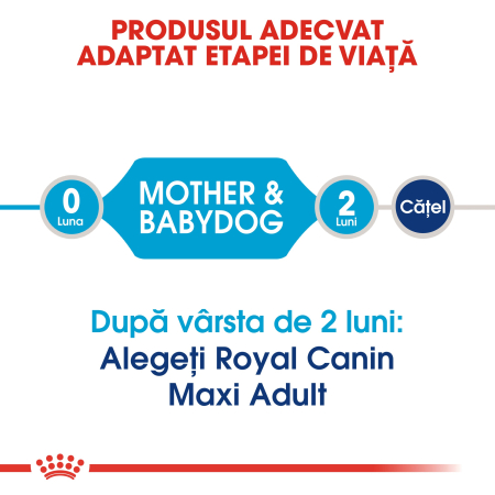 Royal Canin Maxi Starter Mother & Babydog gestatie/ lactatie pui hrana uscata caine, 1 kg [1]