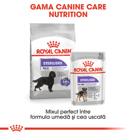 Royal Canin Maxi Sterilised Adult hrana uscata caine sterilizat, 9 kg [10]