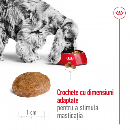 Royal Canin Medium Adult 7+  hrana uscata caine, 4 kg [6]