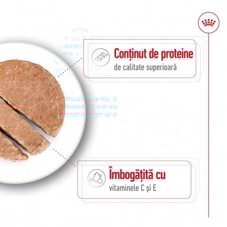 Royal Canin Medium Adult hrana umeda caine (pate) 12 x 410g [2]