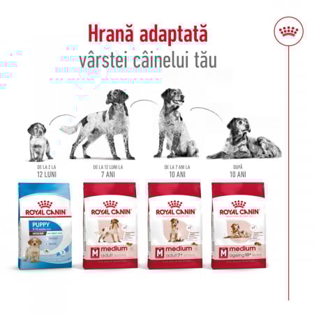 Royal Canin Medium Adult hrana uscata caini, 3kg [9]