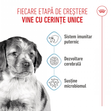 Royal Canin Medium Puppy hrana uscata caine junior, 12kg [3]