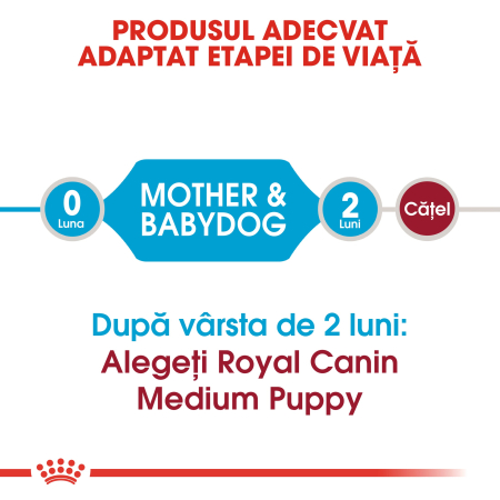 Royal Canin Medium Starter Mother & Babydog gestatie/ lactatie pui hrana uscata caine, 1 kg [1]