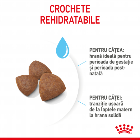 Royal Canin Medium Starter Mother & Babydog, mama si puiul, hrana uscata caine, 15 kg [5]