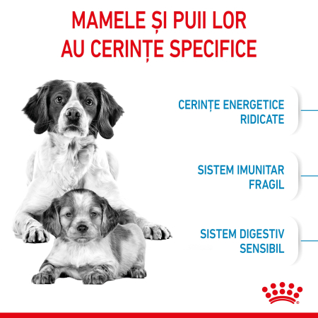 Royal Canin Medium Starter Mother & Babydog, mama si puiul, hrana uscata caine, 4 kg [1]