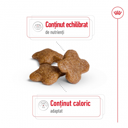 Royal Canin Mini Adult 8+ hrana uscata caine, 2 kg [6]