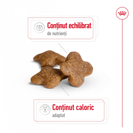 Royal Canin Mini Adult 8+ hrana uscata caine, 8 kg [6]