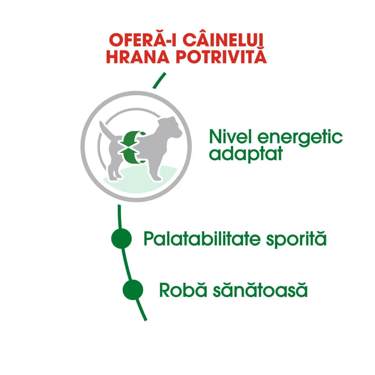 Royal Canin Mini Adult hrana uscata caine, 8 kg + 1 kg [3]