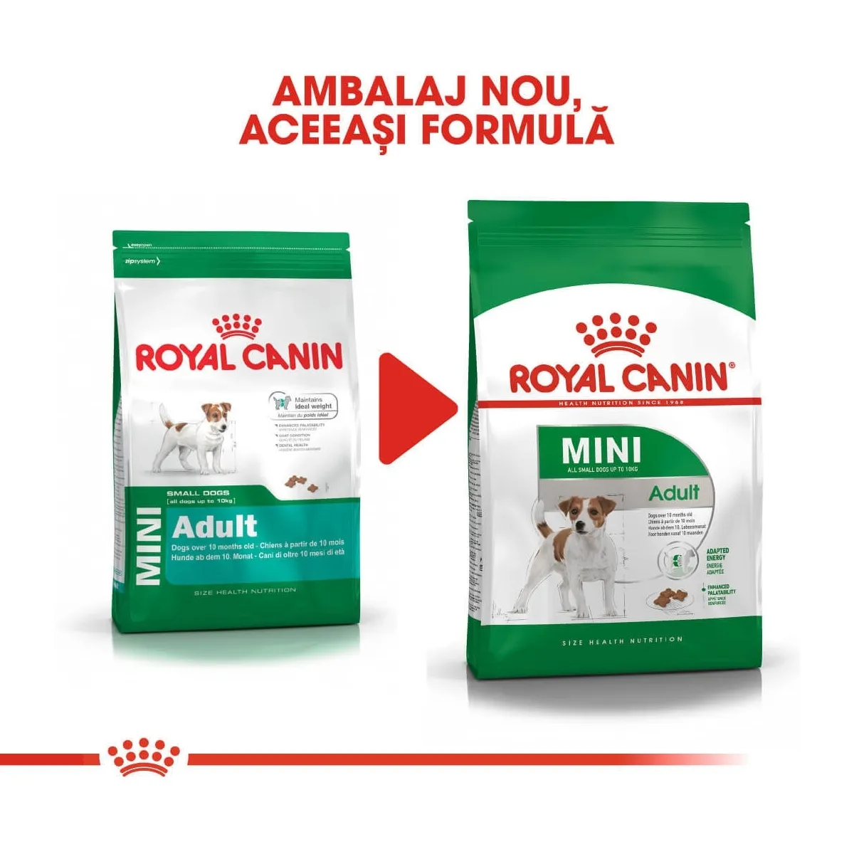 Royal Canin Mini Adult hrana uscata caine, 8 kg + 1 kg [2]