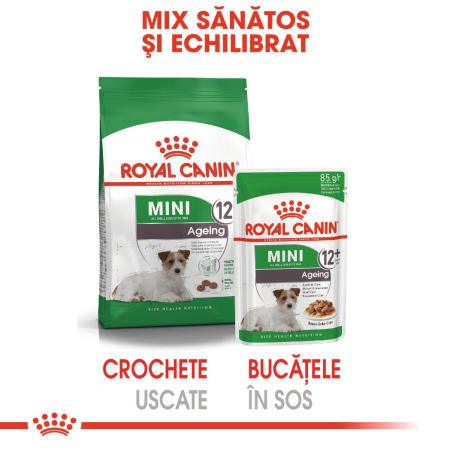 Hrana umeda pentru caini Royal Canin Mini Ageing 12+, 12 x 85g [4]