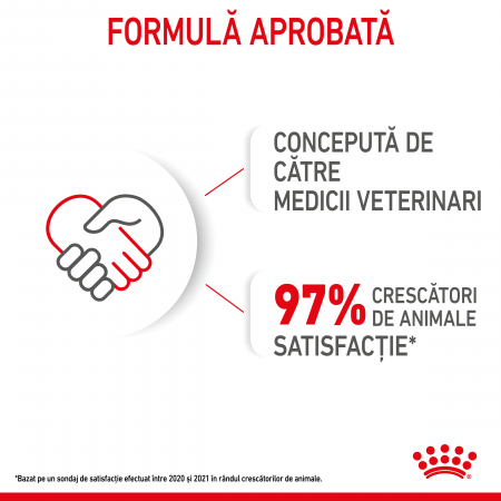 Hrana umeda pentru caini Royal Canin Mini Puppy, Junior, 12 x 85g [4]