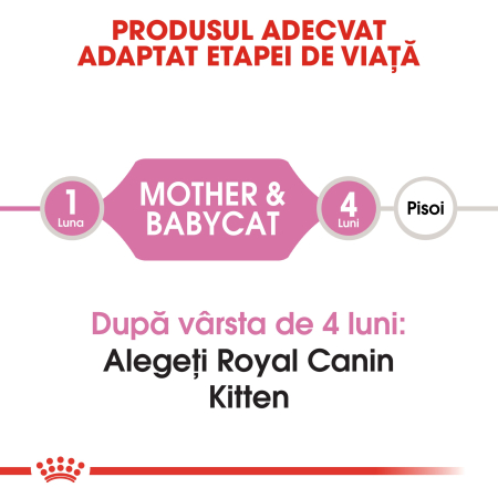 Royal Canin Mother & BabyCat hrana uscata pisica mama si puii pana la 4 luni, 4 kg [1]