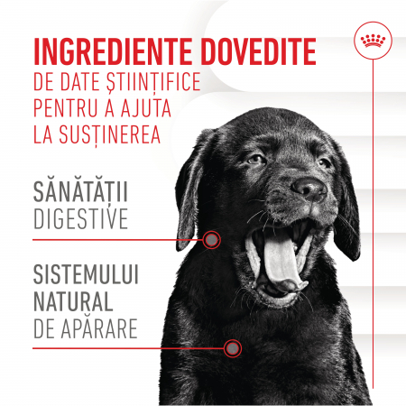 Royal Canin Puppy Supliment pentru imunitate si digestie, 100g [7]