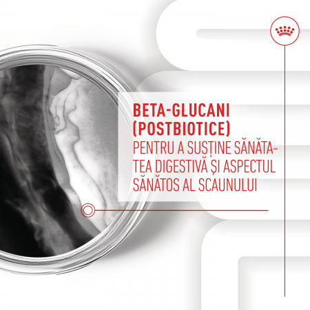 Royal Canin Puppy Supliment pentru imunitate si digestie, 100g [8]