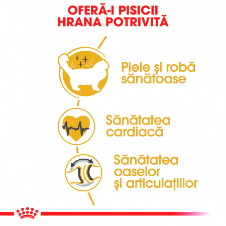Royal Canin Ragdoll Adult hrana uscata pisica, 2 kg [2]