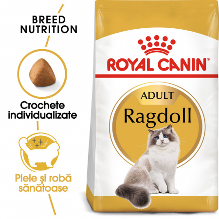 Pisici - Royal Canin Ragdoll Adult hrana uscata pisica, 2 kg