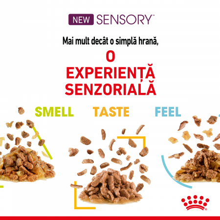 Royal Canin Sensory, hrana umeda pisici, stimularea simturilor (in sos), 12 x 85 g [6]