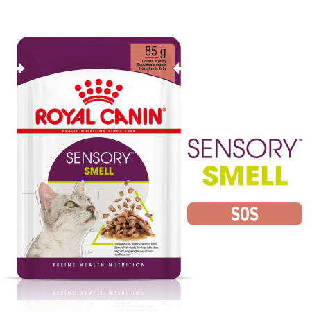 Pisici - Royal Canin Sensory Smell, hrana umeda pisici, stimularea mirosului (in sos), 12 x 85 g