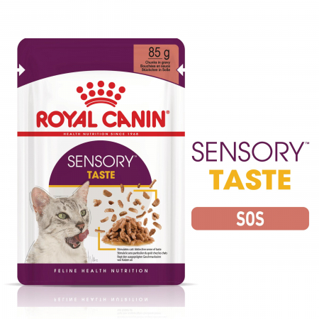 Hrană umedă - Royal Canin Sensory Taste, hrana umeda pisici, stimularea gustului (in sos), 12 x 85 g