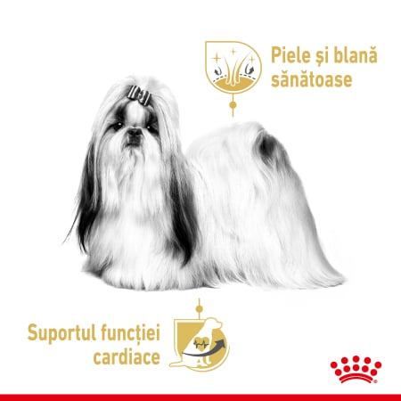 Royal Canin Shih Tzu Adult hrana umeda caine, 12 x 85 g [1]