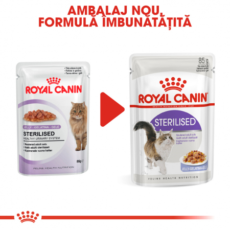 Royal Canin Sterilised Adult hrana umeda pisica sterilizata (in aspic), 12 x 85 g [2]
