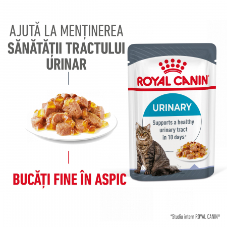 Hrană umedă - Royal Canin Urinary Care Adult hrana umeda pisica, sanatatea tractului urinar (in aspic), 12 x 85 g