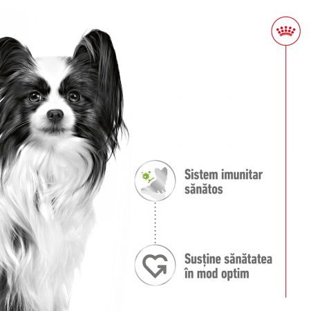 Royal Canin X-Small Adult hrana umeda pentru caine (in sos) 12 x 85g [3]