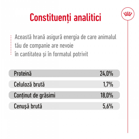 Royal Canin X-Small Adult, hrana uscata caini, 3kg [10]