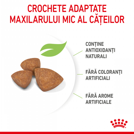 Royal Canin X-Small Puppy hrana uscata caine junior, 500 g [5]