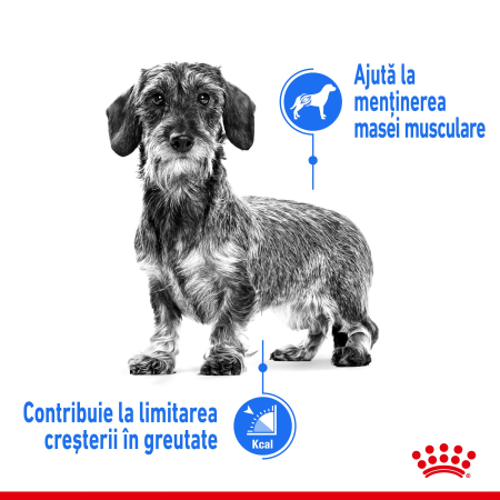 Royal Canin XSMALL Mini Light Weight Care Adult hrana uscata caine pentru limitarea cresterii in greutate, 1.5 kg [1]