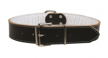 Zgărzi - Zgarda pentru caini Pet Expert, marime L, 3 x 60 cm, piele, negru