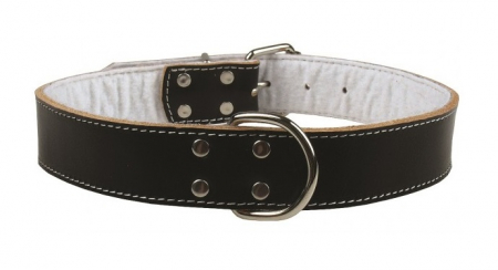 Zgarda pentru caini Pet Expert, marime XL, 4 x 75 cm, piele, negru [1]