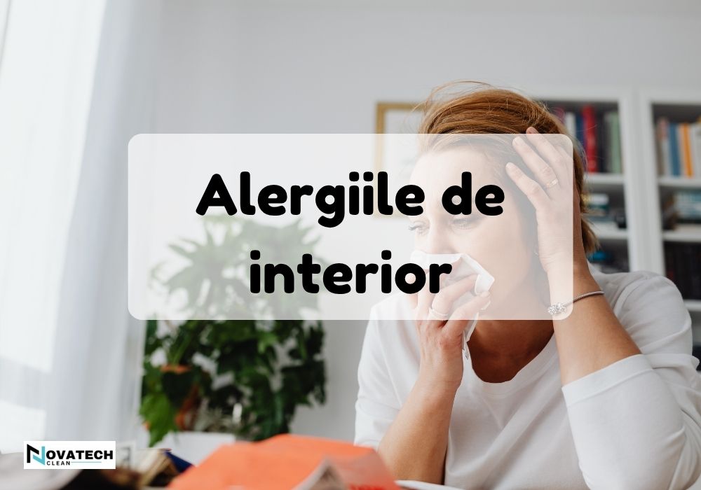 Alergiile de interior. Cum contribuie Kirby la un mediu sanatos in casa