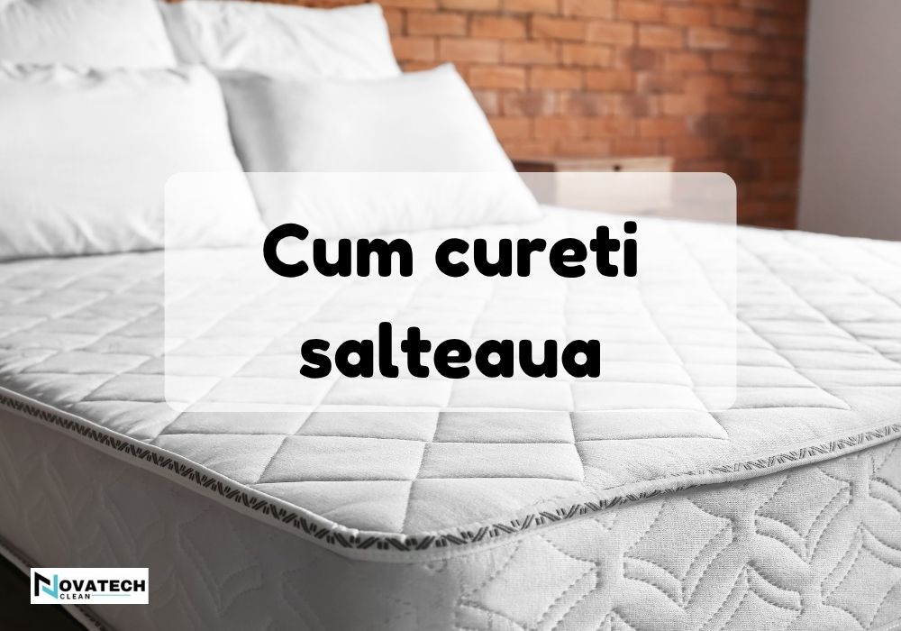 Cum sa cureti salteaua si sa elimini acarienii