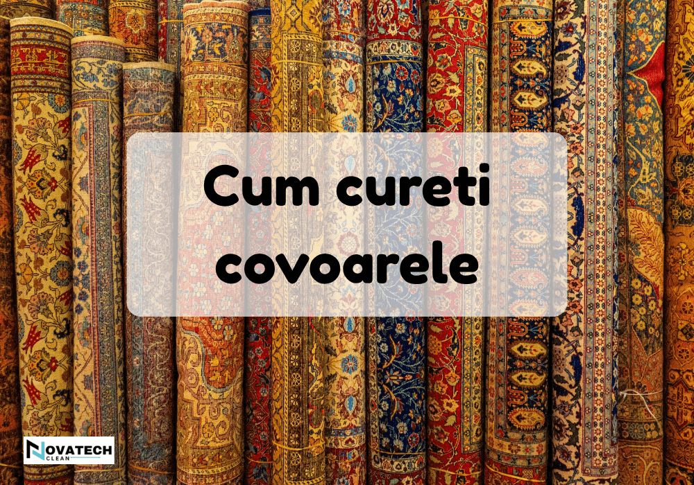 Ce bacterii si murdarie se acumuleaza in covor si cum le elimini cu ajutorul Kirby