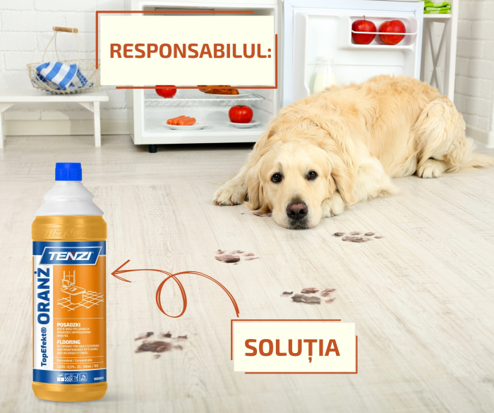 Detergent pardoseli, portocala, 1 litru, TopEfekt Oranz, Tenzi [2]