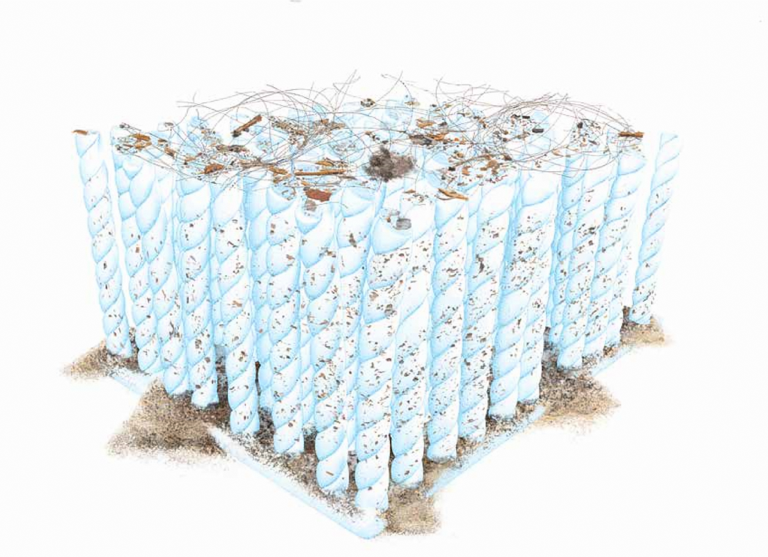 Tehnologia MicroAllergen