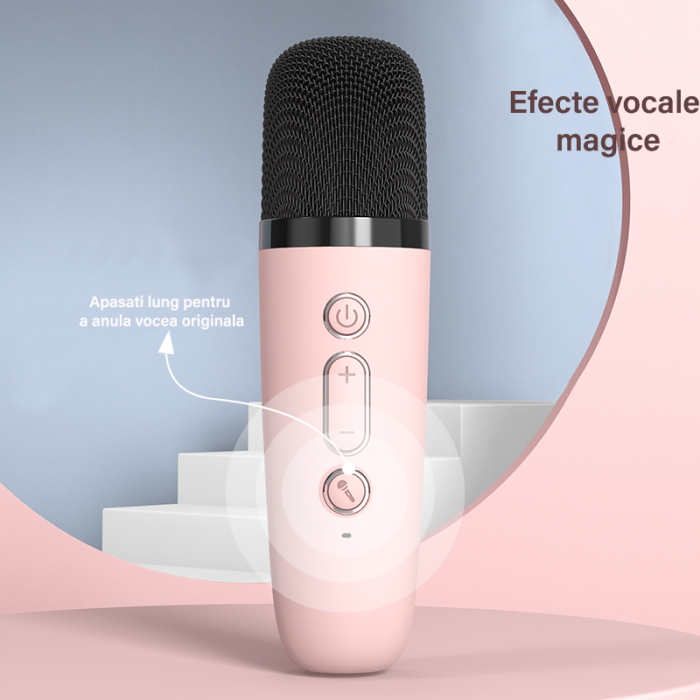 Set microfoane karaoke [6]