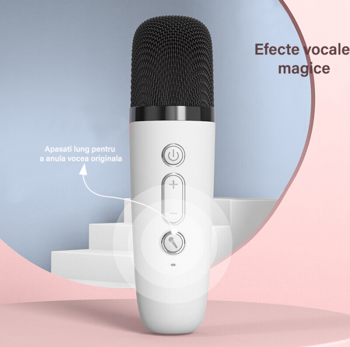 Set microfoane karaoke [5]