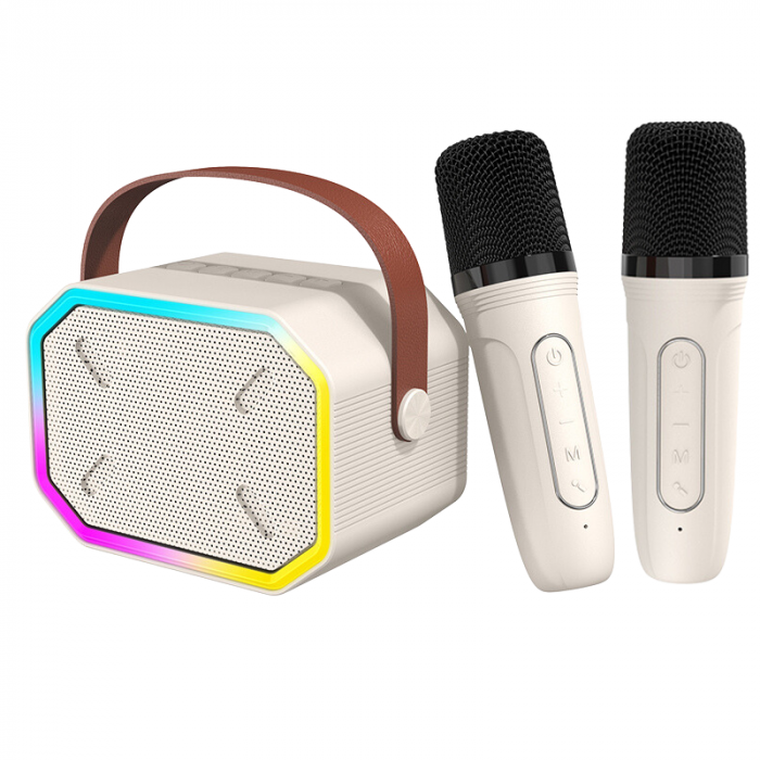 Set microfoane karaoke [1]