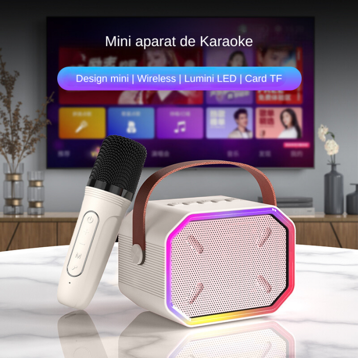 Set microfoane karaoke [2]