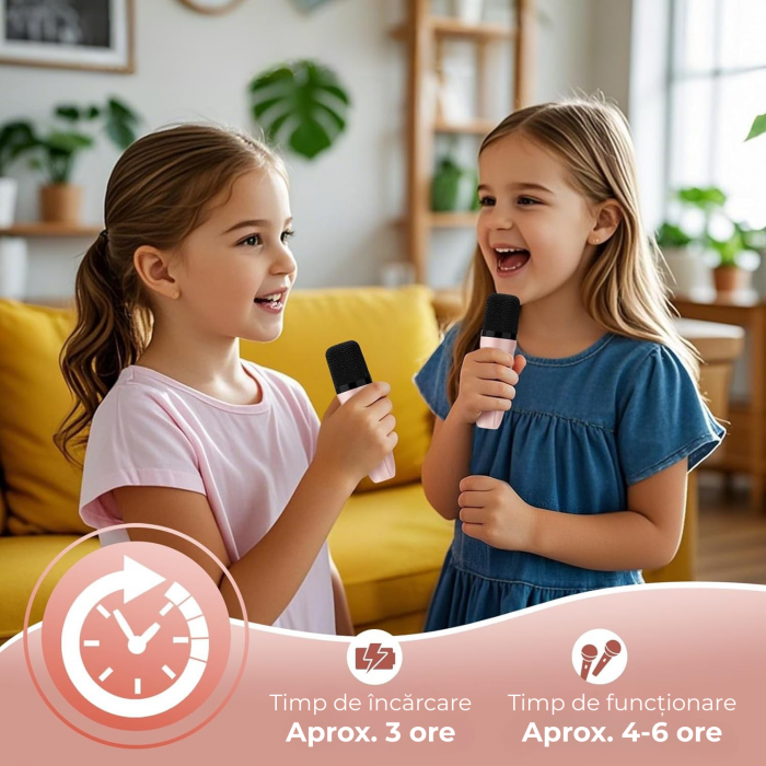 Set microfoane karaoke [5]