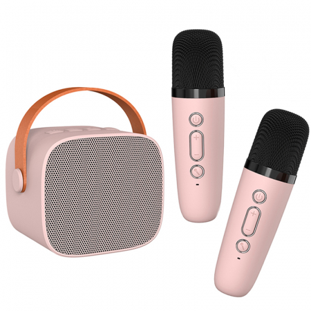 Produse - Set microfoane karaoke