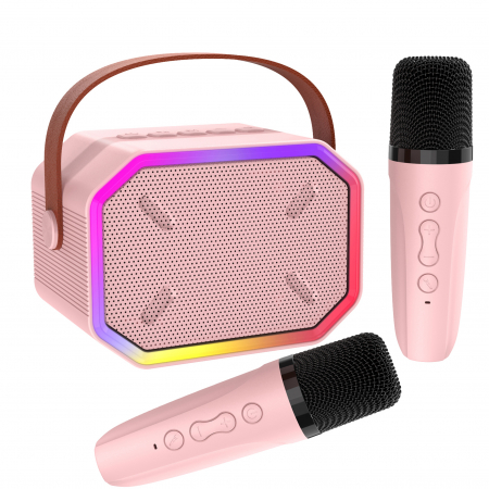 Produse - Set microfoane karaoke