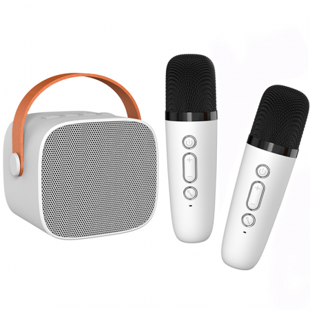 Produse - Set microfoane karaoke