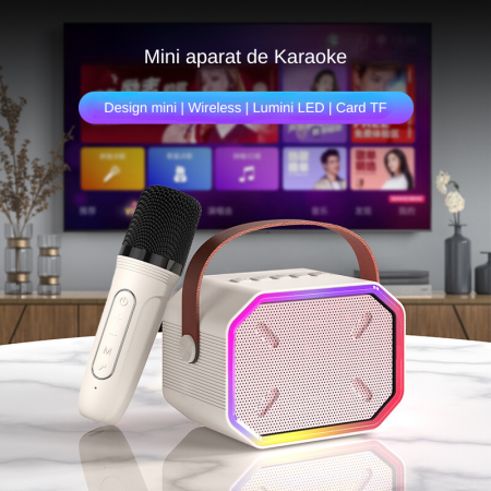 Set microfoane karaoke [1]