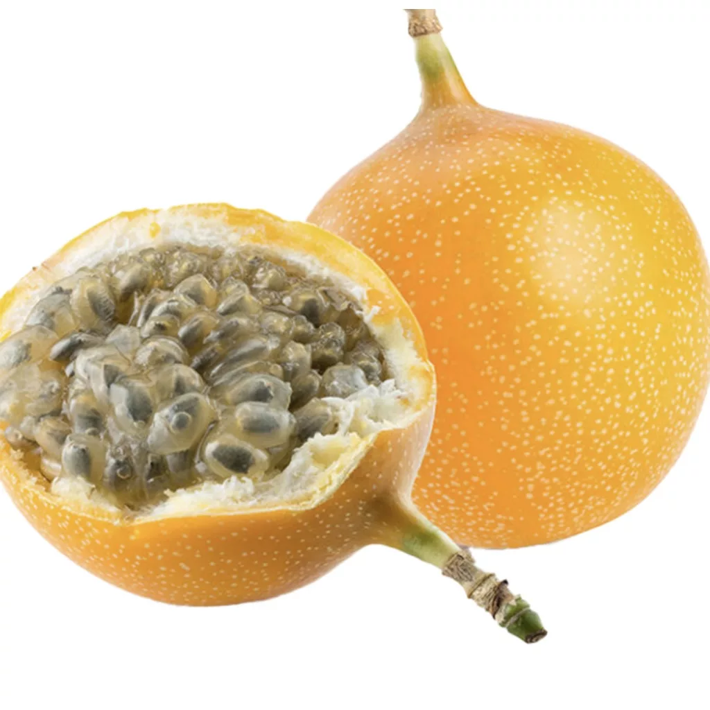 GRANADILLA [1]