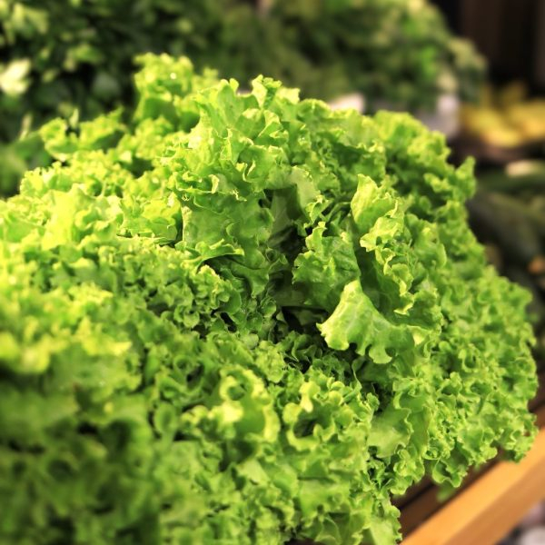 Salata verde (500 g) [1]