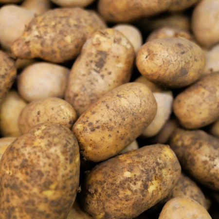 Fructe si legume - Cartofi albi