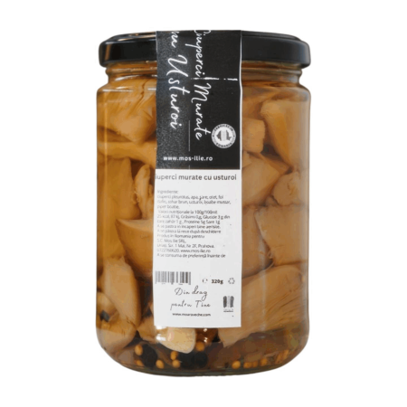 Muraturi - Pleurotus Murate 320 Gr